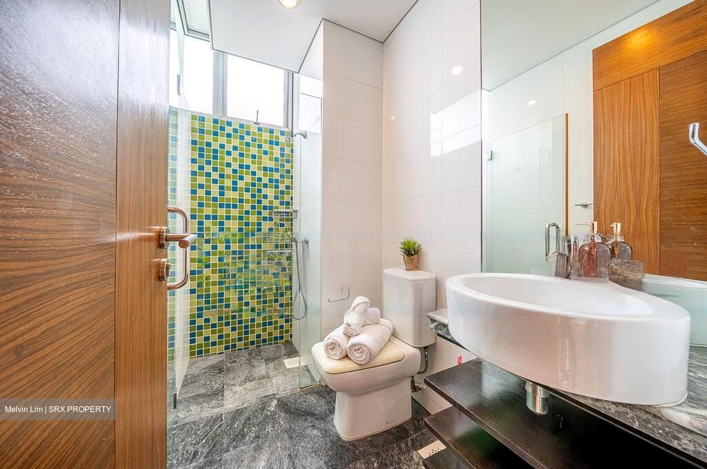 Mill Point (D10), Apartment #483586161